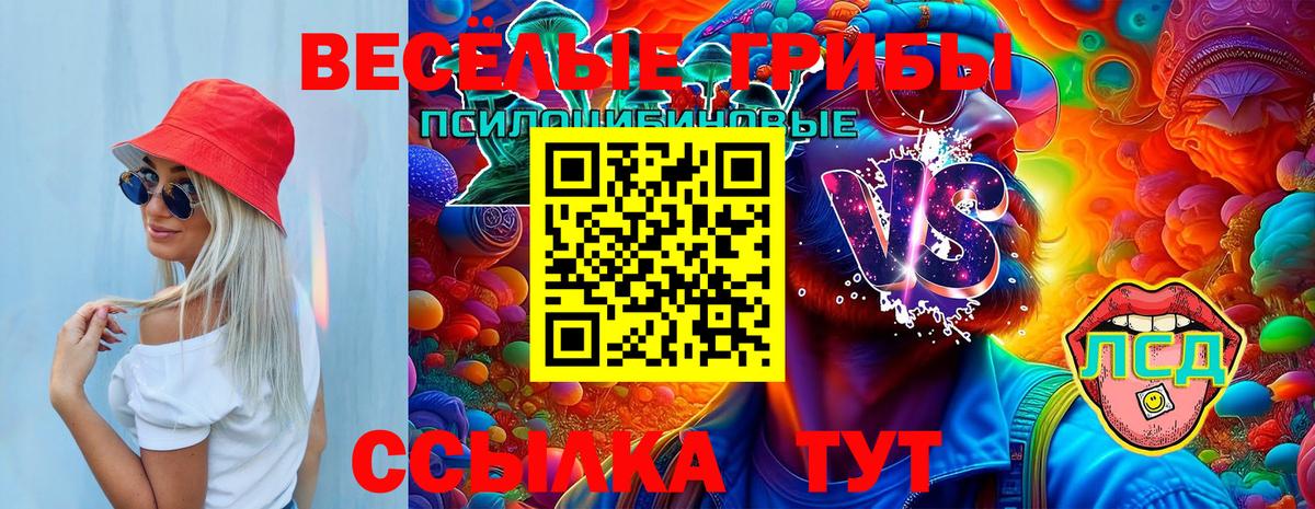 Галлюциногенные грибы мицелий Кимовск