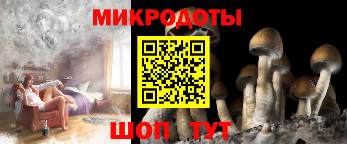Кимовск  Псилоцибиновые грибы Psilocybe  Вход с VPN 
